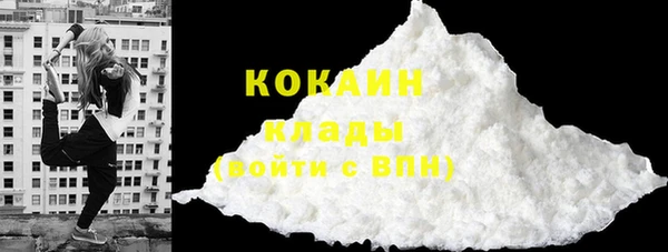 PSILOCYBIN Волосово