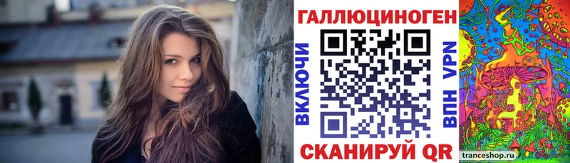 Купить  Переславль-Залесский  Псилоцибиновые грибы Psilocybe 